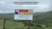 camino_cepelludo